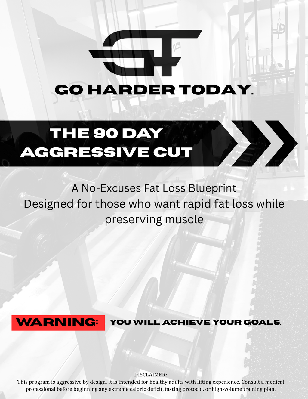 The 90 Day Aggressive Cut